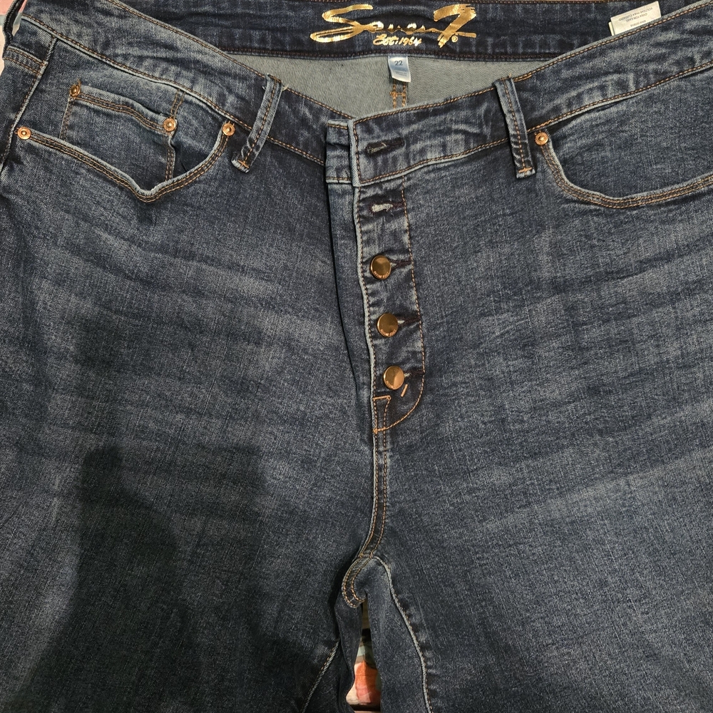 Lane Bryant Dark Blue Flare Jeans